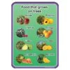 Healthy Eating Food From Trees Sign
