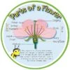 Pollination (Parts Of A Flower) Sign