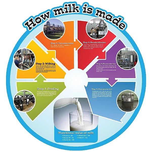 How Milk Is Made Food Cycle Sign 1 How Milk Is Made Food Cycle Sign