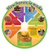 How Honey Is Made Food Cycle Sign