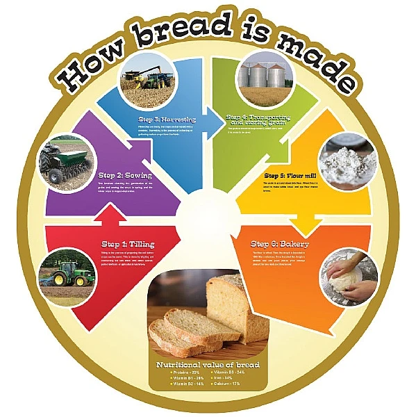 How Bread Is Made Food Cycle Sign 1 How Bread Is Made Food Cycle Sign